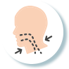 Myofunctional Therapy
ฟื้นฟูกล้ามเนื้อใบหน้าและทางเดินหายใจ 